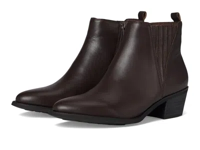 David Tate Focus In Brown