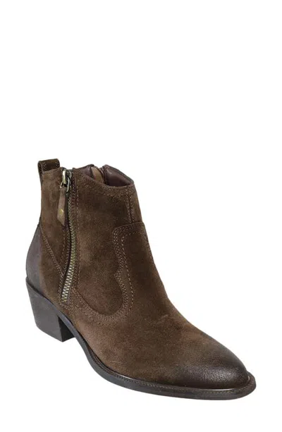 David Tate Friendly Leather Bootie In Brown Suede