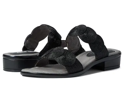 David Tate Honey Women's Shoes Black: 6 M (b)
