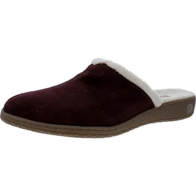 David Tate Jam Burgundy Jam-602 Women's