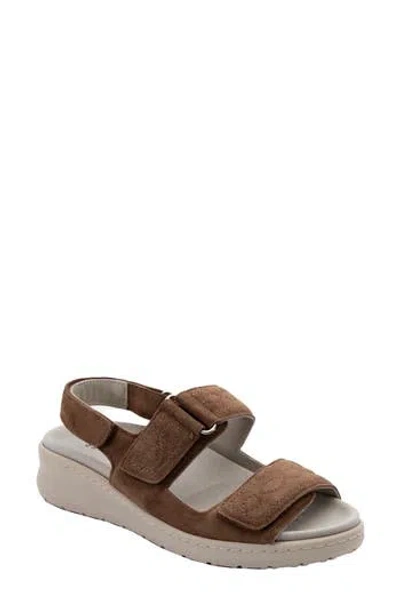 David Tate Key Comfort Slingback Sandal In Brown