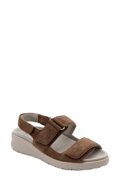 David Tate Key Comfort Slingback Sandal In Brown