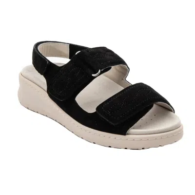 David Tate Key Sandals Women's W Black Suede Adjustable Strap Hawk2785