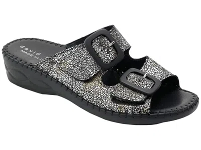 David Tate La Vida Women's Shoes Black Garden: 6 M (b), Leather