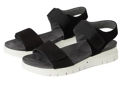 David Tate Papaya In Black