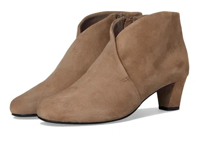 David Tate Prestige In Brown