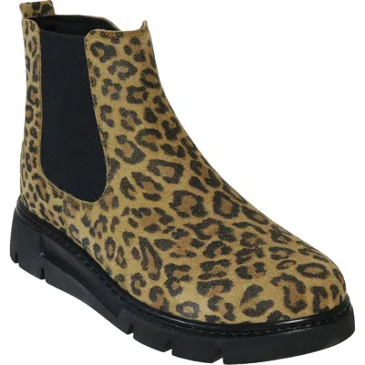 David Tate Promo Leather Chelsea Boot In Multi