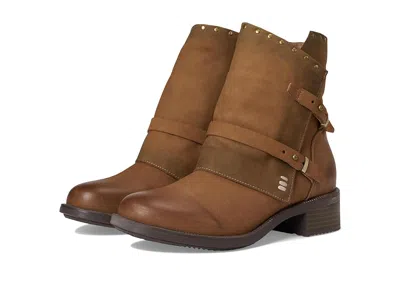 David Tate Spectacular In Brown