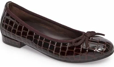 David Tate Women's Glow Ballet Flat In Brown In Red