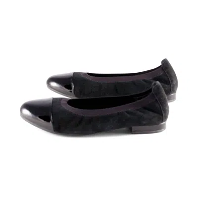 David Tate Women's Nicole Slip On In Black Suede