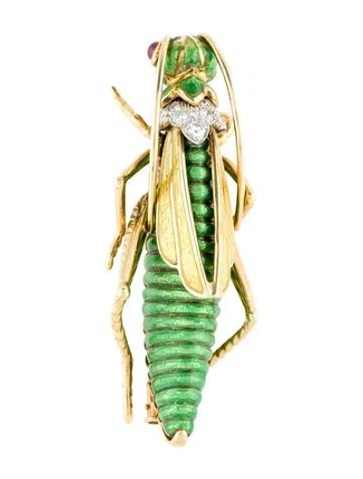 Pre-owned David Webb 18k Ruby, Diamond & Enamel Grasshopper Brooch Pin In Multi