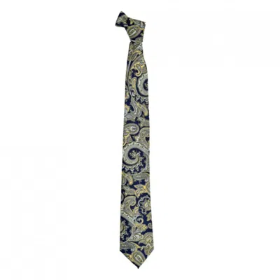 David Wej Men's Blue Paisley Printed Tie – Navy Yellow In Gray