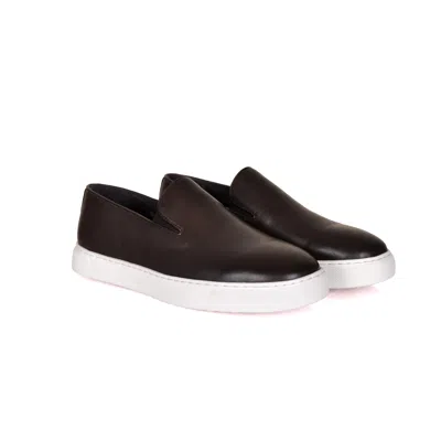 David Wej Men's Brown Bradford Smart Sneakers - Coffee