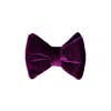 David Wej Men's Pink / Purple Butterfly Velvet Bow Tie – Purple