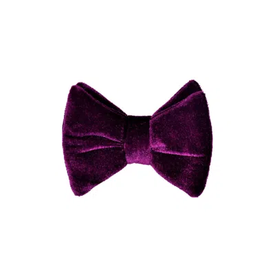 David Wej Men's Pink / Purple Butterfly Velvet Bow Tie – Purple