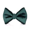 David Wej Men's Silk Bow Tie - Green In Green