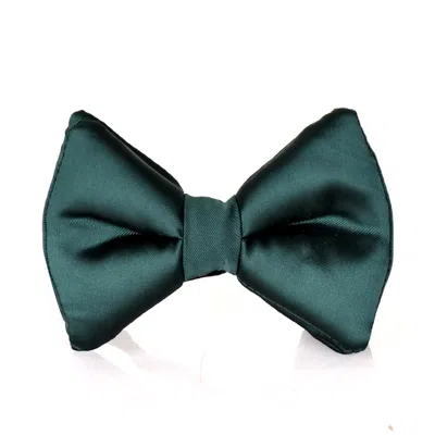 David Wej Men's Silk Bow Tie - Green