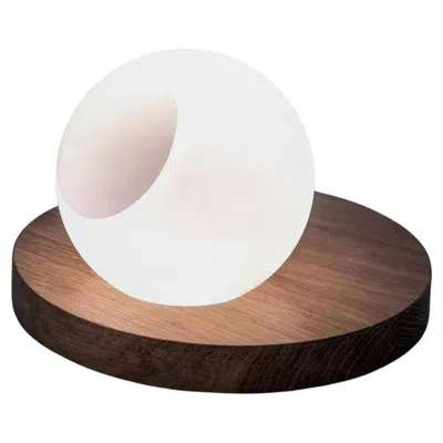 Pre-owned Davide Groppi Pigreco Table Lamp By Omar Carraglia In Brown