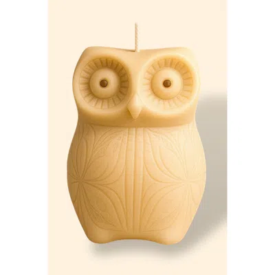 Davie Ocho Candle Co. Davie Ocho Candle Co Owl Night Long Candle In Brown