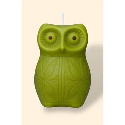 Davie Ocho Candle Co. Davie Ocho Candle Co Owl Night Long Candle In Green