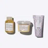 Davines Daily Care Travel Set