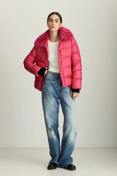 Dawn Levy Vera - Shearling In Pink