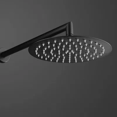 Dax Rain Fixed Shower Head 2.5 Gpm Gpm In Matte Black
