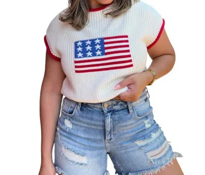 Day + Moon Usa Cropped Sweater In White In Multi