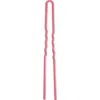 Day Rate Beauty Power Pin In Power Pink (5.5in)