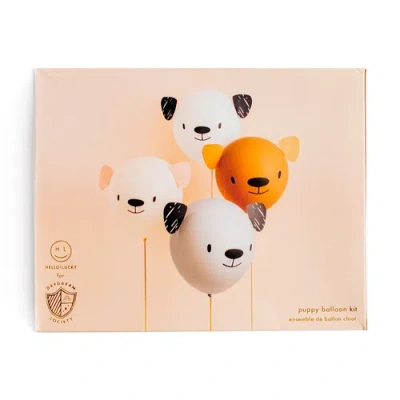 Daydream Society Bow Wow  Diy Balloon Decorating Set In Assorted Pre-pack