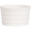 Daydream Society Frenchie Striped Treat Cups In Lilac