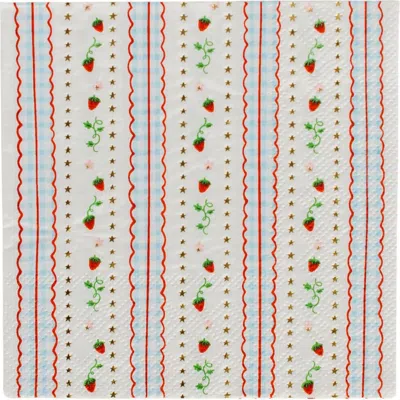 Daydream Society Strawberry Picnic Gingham Print Petite Napkins In Multi