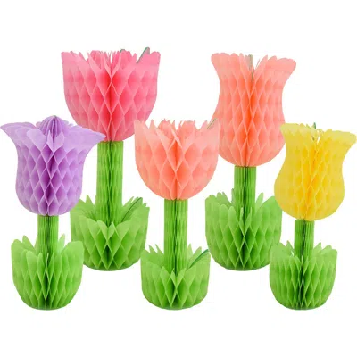 Daydream Society Tulip Honeycomb Set Of 5 In Multi