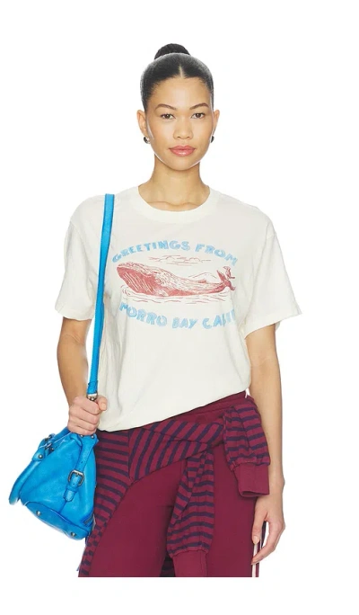 Daydreamer Greetings From Morro Bay Burnout Boyfriend Tee In Stone Vintage