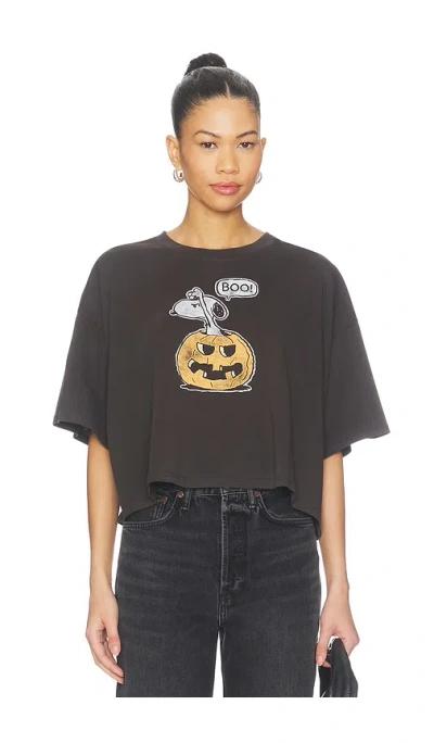 Daydreamer Peanuts Spooky Pumpkin Cropped Oversized Tee In Black