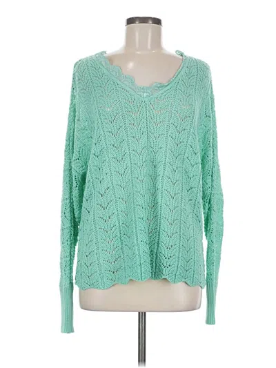 Pre-owned Daytrip Pullover Sweater In Green
