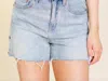 Daze Troublemaker High Waist Distressed Denim Cutoff Shorts In Multi