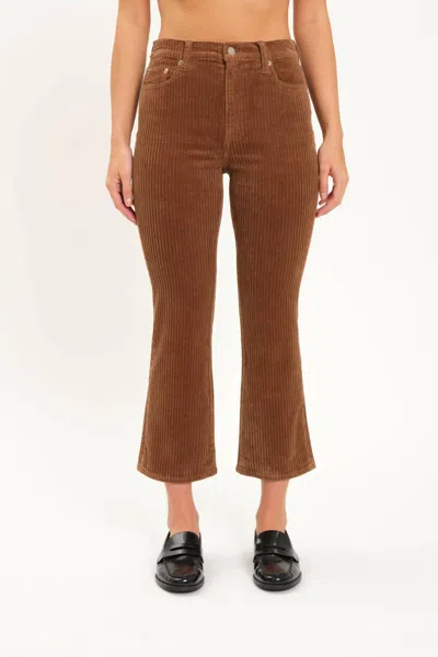 DAZE SHY GIRL CORDUROY FLARE IN TEDDY