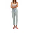 Daze Straight Up Straight Leg Jean In Swoon Vintage In Multi