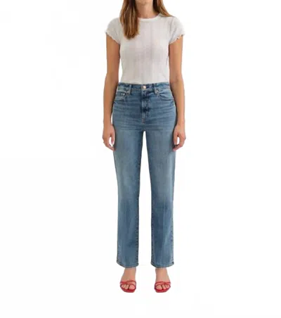 Daze Sun High Rise Vintage Straight Jeans In Brooklyn In Multi