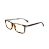 Db Eyewear By David Beckham Db 1019wr9/16 Brown Havana In Wr9-havana