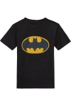 Dc Comics Justice League T-shirt In Black