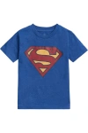 Dc Comics Justice League T-shirt In Blue