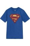 Dc Comics Justice League T-shirt In Blue