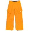 Dc Shoes Kids' Banshee Insulated Snow Pants In Yellow