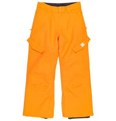 Dc Shoes Kids' Banshee Insulated Snow Pants In Yellow
