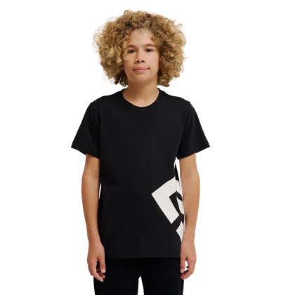 Dc Shoes Kids' Dc Lanai Tee In Black