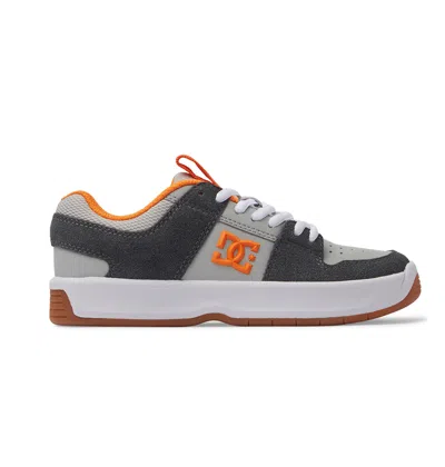 Dc Shoes Kids' Lynx Zero Shoes In Gray