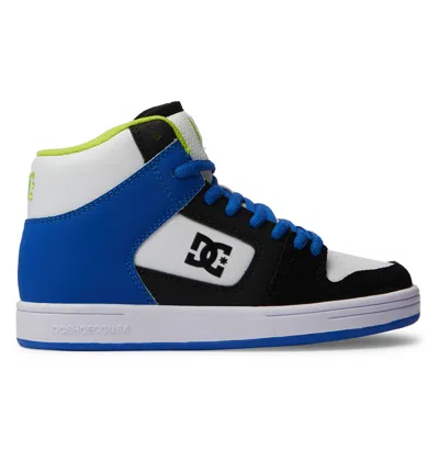 Dc Shoes Kids' Manteca 4 Hi Shoes In Animal Print