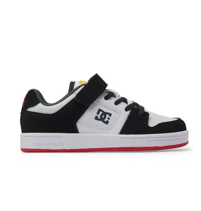 Dc Shoes Kids' Manteca 4 V Shoes In Multi